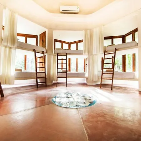 The Beehive Experience At Holistika Tulum Hotel